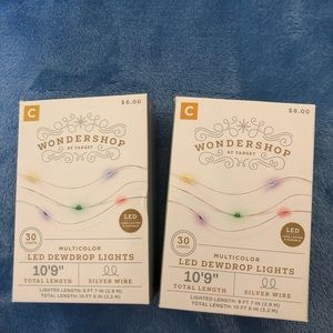 Cute LED dewdrop lights by target. 30 lights